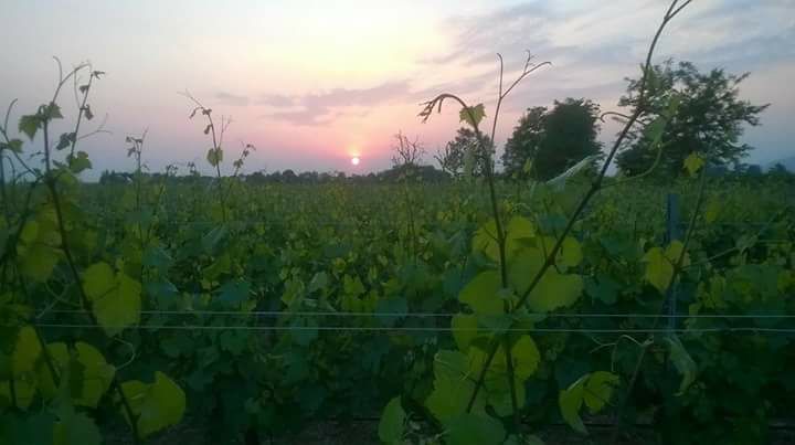 E’ una specie di&nbsp;gioco.