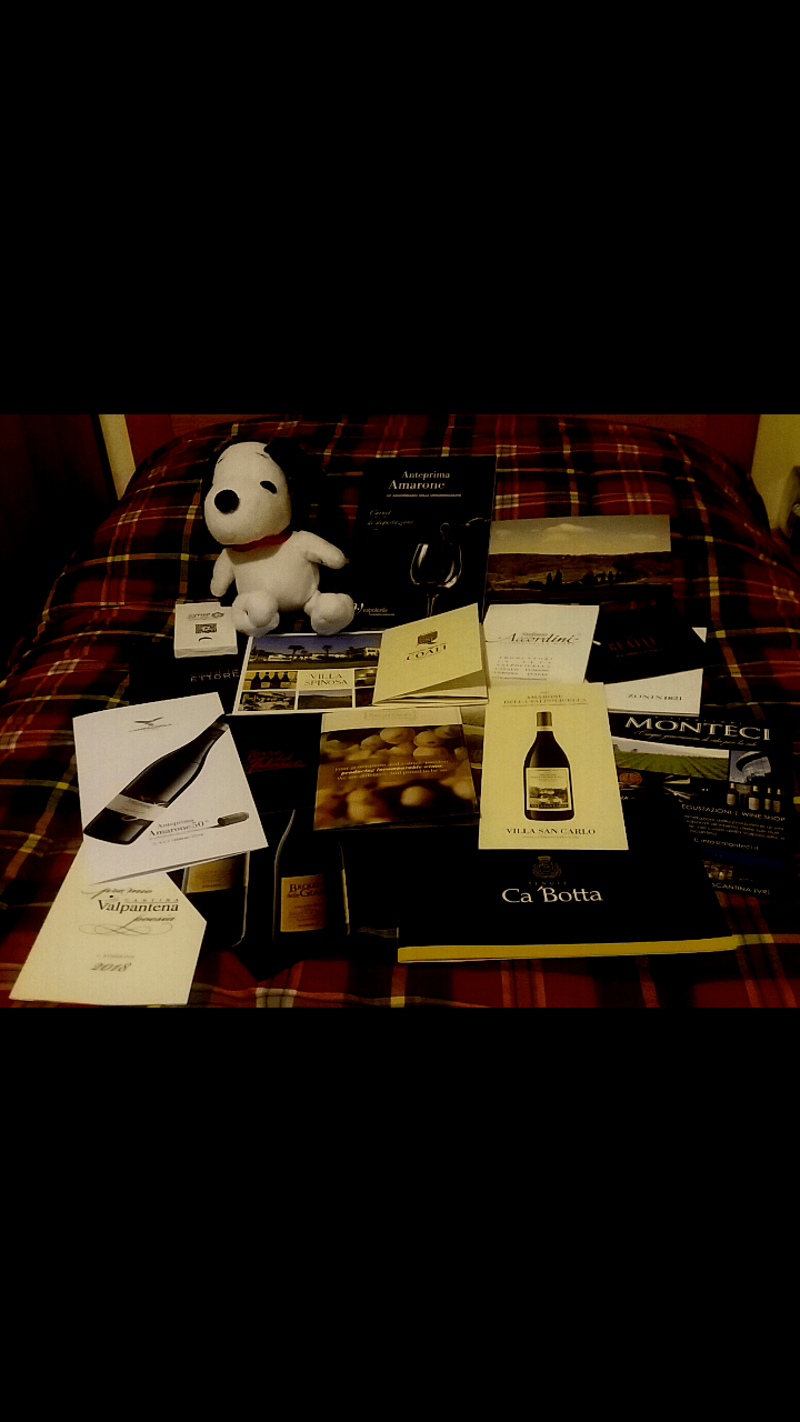 Anteprima Amarone 2014.