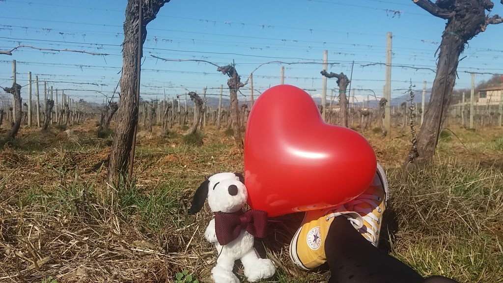 Sì, dev’essere così