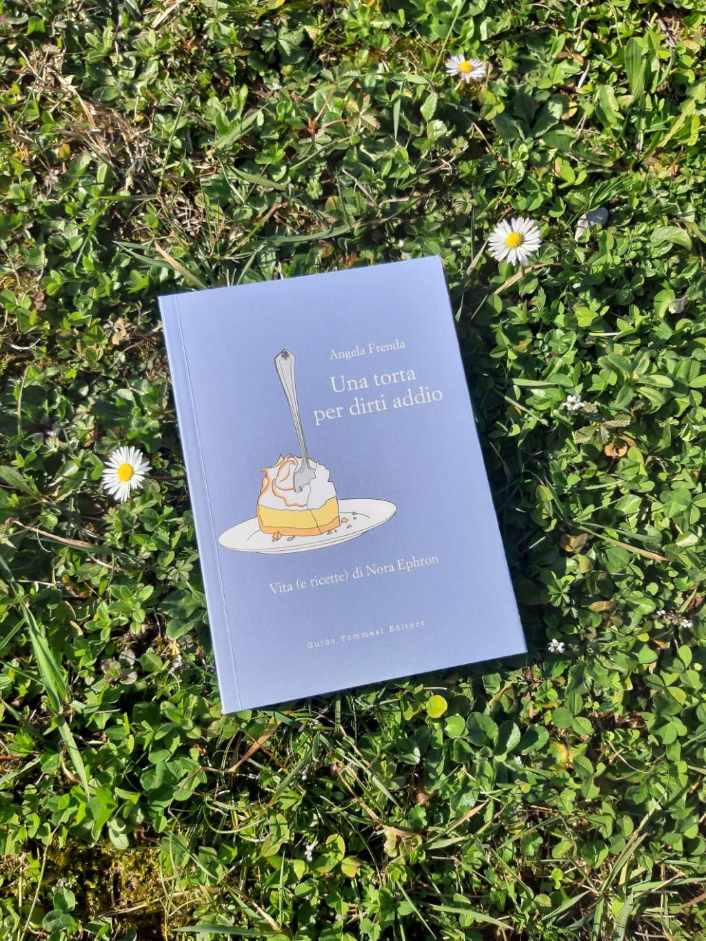 Libro del mese. “Una torta per dirti addio” di Angela&nbsp;Frenda